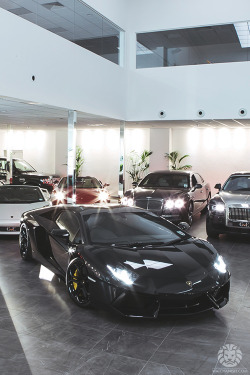 watchanish:  GVE London’s current showroom line-up.More