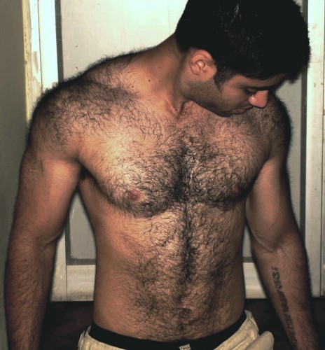 hairyindianguy.tumblr.com/post/65513253265/