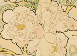 caravaggista:  Alphonse Mucha, Detail from Peonies (1897)