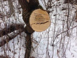  “Each time you read a book, a tree smiles knowing there’s