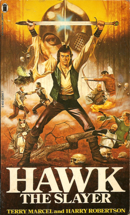 Hawk The Slayer, by Terry March and Harry Robertson (NEL,1980). From a charity shop on Mansfield Road, Nottingham.