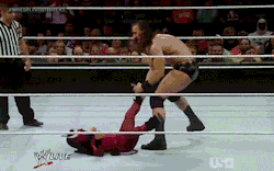 wrasslormonkey:  The Bull Swing! (BS for short) (by @WrasslorMonkey)
