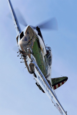 spectre-130:  dave-mech:  Curtiss P-40C Tomahawk by NamelessFaithlessGod