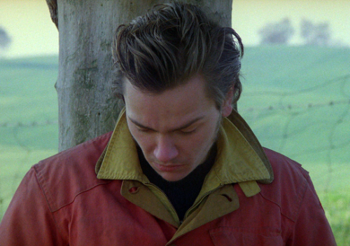 thelittlefreakazoidthatcould:My Own Private Idaho (1991) // dir.