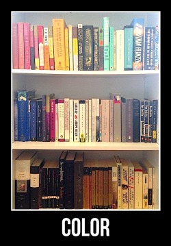sykobabbul:  huffpostbooks:  What’s Your Book Shelfie Style?