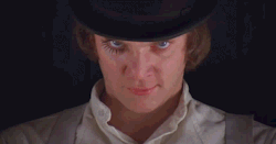 “There was me, that is Alex, and my three droogs, that