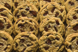 newyorker:  The chocolate-chip cookie celebrated its seventy-fifth