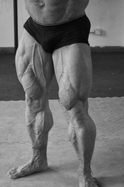 drwannabe:  Daz Ball