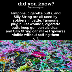 did-you-kno:  Tampons, cigarette butts, and Silly String are