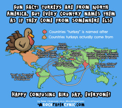 rockpapercynic:  HAPPY CONFUSING BIRD DAY AMERICA!