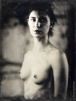 b7lab:  18x24â€³ Ambrotype - Kyotocat 2015