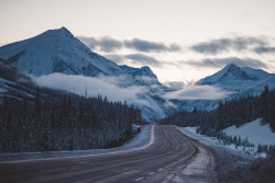 teapalm:  (Tasha Marie) | Alberta + BCavailable as a wallpaper