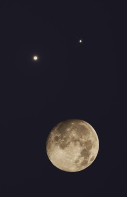 astronomyblog: Conjunction Full Moon, Venus and Jupiter Image