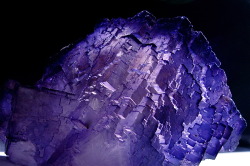 ifuckingloveminerals:  Fluorite  South Africa. 