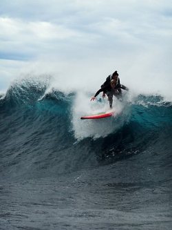palonka:  PASCALE Honore is just like any other surfer, keen