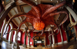 -standout:  culturecollective:  25 meters wide Octopus from the