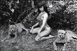 Bettie Page plays with her kitties All VintageBooty followers