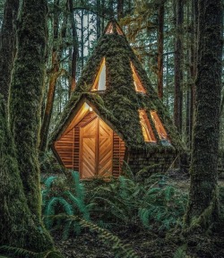 utwo: Forest Cabin © jacob witzling 