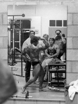 mitos:  Arnold Schwarzenegger, Frank Zane, Dave Draper, and Serge