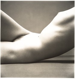 hauntedbystorytelling: Irving Penn :: Nude No. 40, 1949-50 |