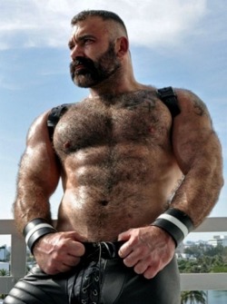 Follow my two hairy men blogs: http://sambrcln.tumblr.com http://hairysex.tumblr.com