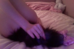 kittengrl: I put a bow on my tail and it’s even cuter now 