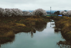 ishikorokoroishi:  “deep japan”