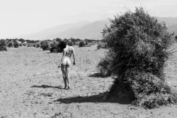 curiousform:  Death Valley 2015Katlyn