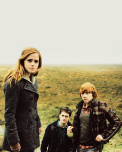 knockturnallley:  Harry Potter and the Deathly Hallows Part I