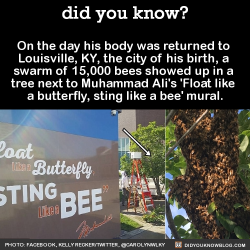 did-you-kno:  On the day his body was returned to  Louisville,