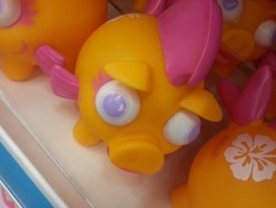 waifuwaifuflutterass:  I found some aquatic Scootaloo piggie