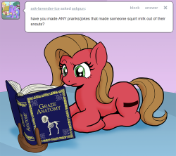 askpun:  Not everypony is as malleable as Pinkie Pie. Can you