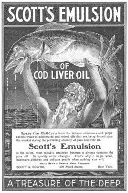 vintascope:  Scott’s Emulsion - 19031022 The Youth’s Companion