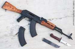 30roundrevolution:  WASR with bayonet and stripped for cleaning.