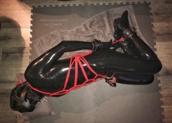 boyryan54:Another shot from my ball busting gimp session with