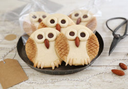 etsy:  Learn how to make the absolute cutest owl cookies ever