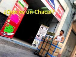 chacales-veracruz:  PARA QUIENES NO SABEN QUE ES UN CHACAL…: