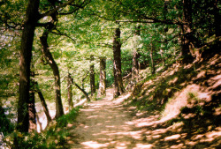 just-wanna-travel:  Roundhay Park, Leeds, England, UK