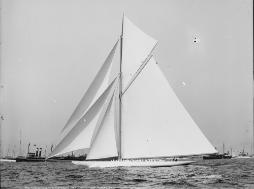310topetaluma:  â€œCall the boat a freak, anything you like, but we cannot handicap ourselves, even if our boat is only fit for the junk heap the day after the race.â€ - Cornelius Vanderbuilt /Â Reliance, the 1903 Americaâ€™s Cup defender.Â    Gorgeous.