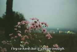 die trying ¯\_(ツ)_/¯