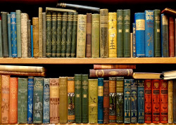 michaelmoonsbookshop:  Old books Shelves of old Victorian books