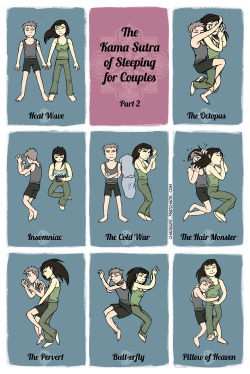 findchaos: ChaosLife: The Kama Sutra of Sleeping for Couples