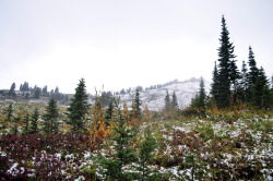 expediti0n:  Trail near Paradise, WA 