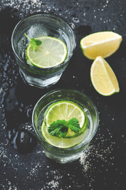 themanliness:      Mojito by   Oxana Denezhkina | Facebook |