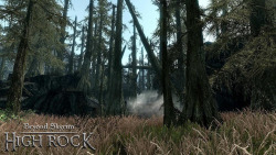 beyondskyrim:  What’s lurking behind the dead pines in the