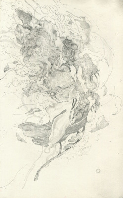 jameschleeart: 06.93 dead leaf rhythmGraphite and charcoal on