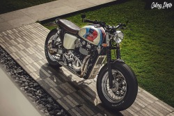 caferacerpasion:  I love this Triumph â€ªBrat Styleâ€¬.Una â€ªâ€ŽTriumphâ€¬ con un diseÃ±o muy cuidado y limpio Â¿Te gusta cÃ³mo ha quedado? www.caferacerpasion.com