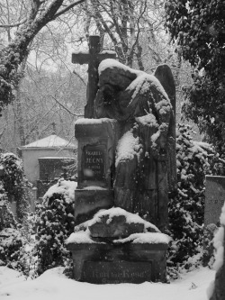 taphophilia:  Cemetery Flora in Prague by ~1973Wolf 
