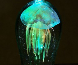 awesomeshityoucanbuy:  Glow In The Dark Jellyfish PaperweightGive