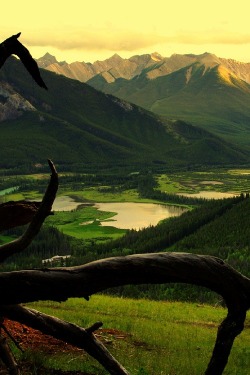 ponderation:  Vermilion Lakes by Jag Canape  